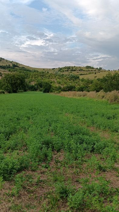 Vând Teren intravilan zonă de munte Buzău  Comuna Chiojdu