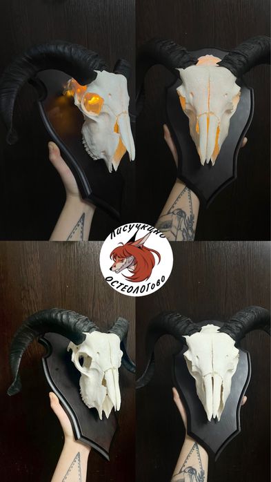 Череп барана/козла