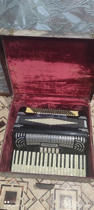 Аккордеон RONDELLI