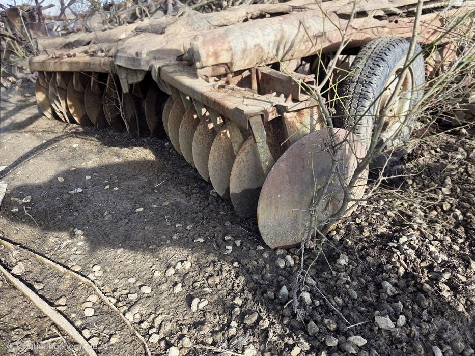 Disc de Piatra Neamț