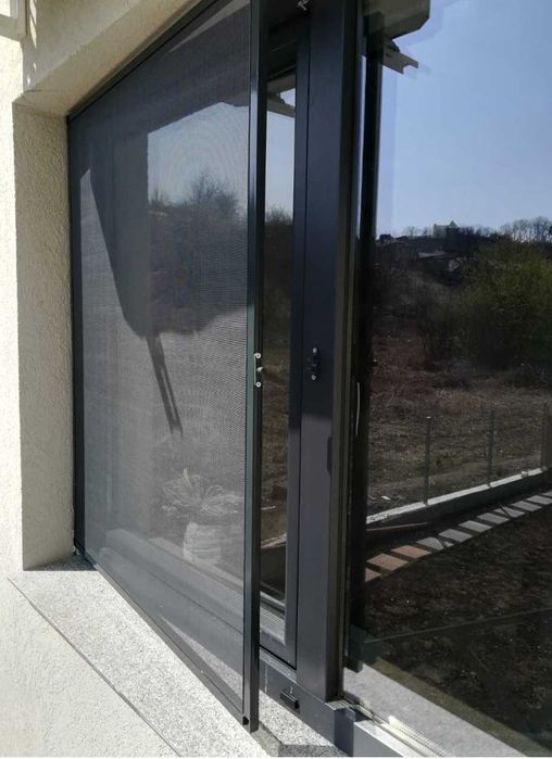 Plase insecte,site țânțari