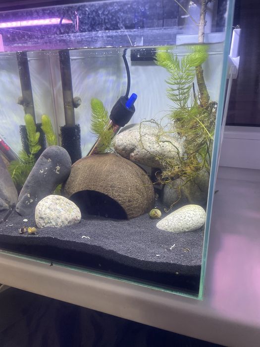 Аквариум с рыбой