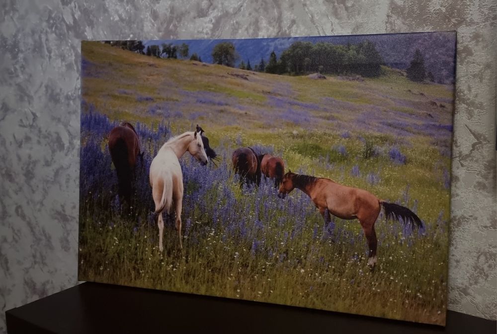Фотокартина "Лошади в цветах"