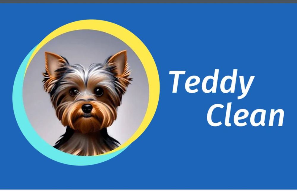 Servicii Profesionale de Curățenie