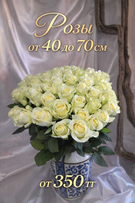 Розы и спрей розы от 400 тг