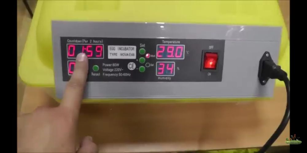 Инкубатор китой автомат