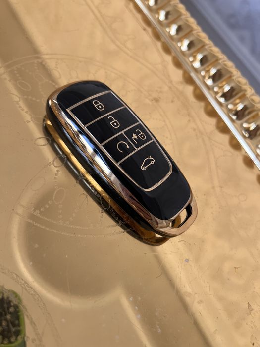 Gac aion va byd пульт чехол