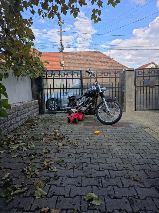 Harley Davidson Softail