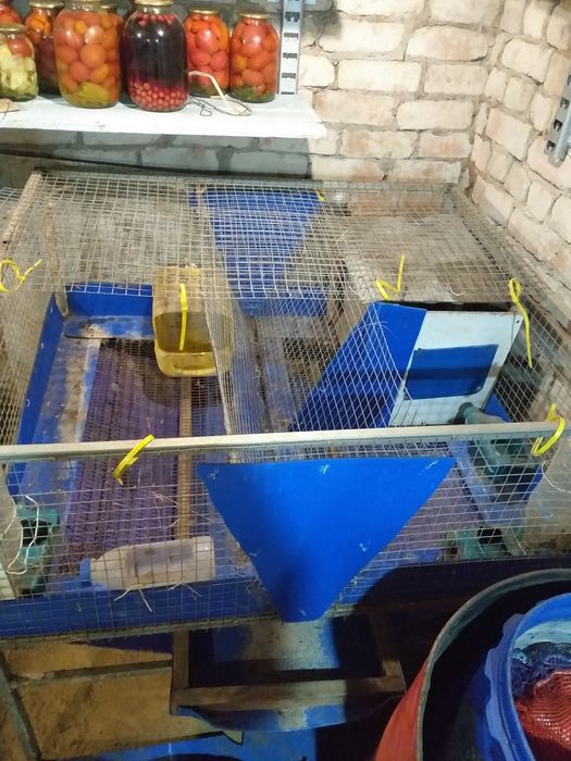 Продам клетки для кроликов