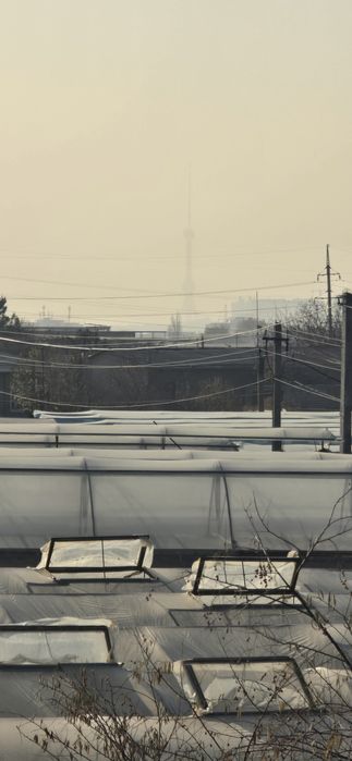 90 соток Бочка Чарвак