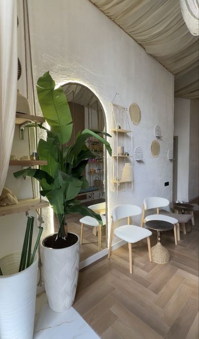 Сдается в аренду кресло и реклайнер