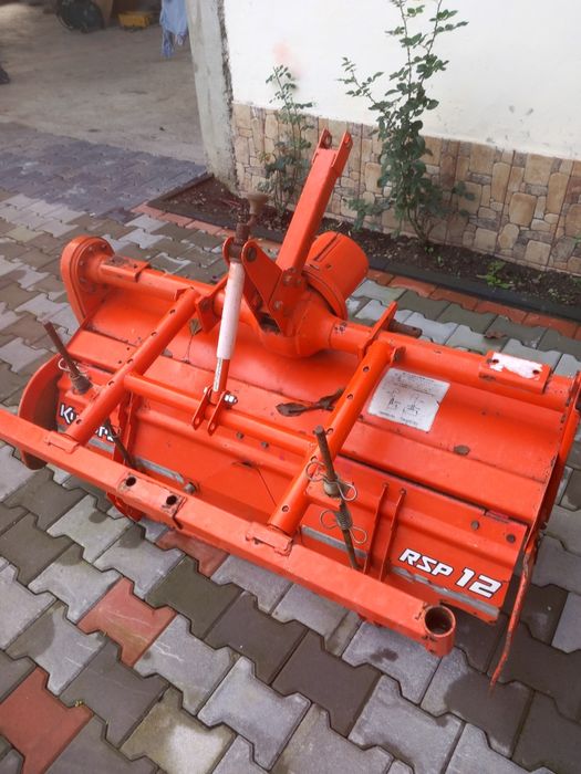 Freze de pământ japoneze aduse recent im țara