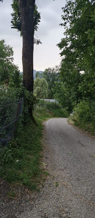 Teren intravilan munte - Arefu (Transfăgărășan)