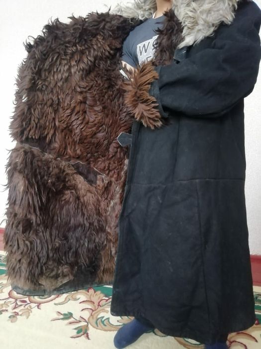 Тұлып сатылады.Бағасы 30 мың