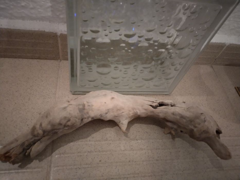 Сух корен за терариум от Малта