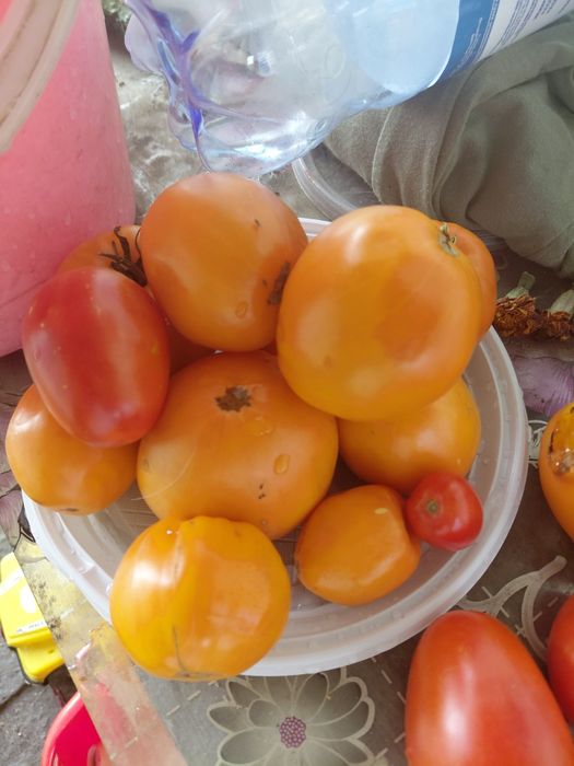Продам овощи домашние