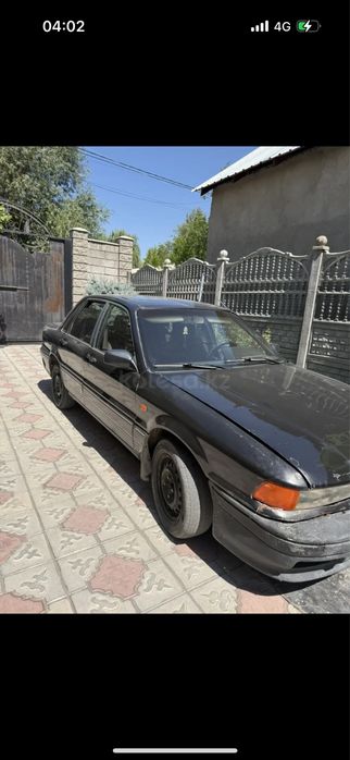 Мютцибици галант