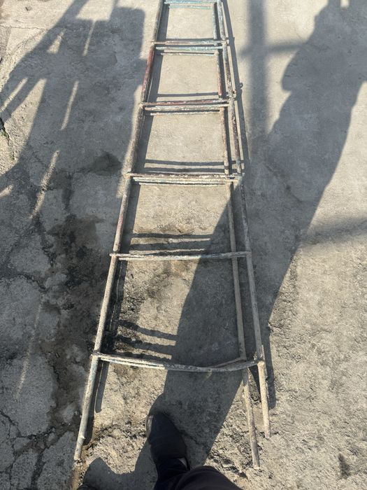 Temir Narvor. Juda baquvat