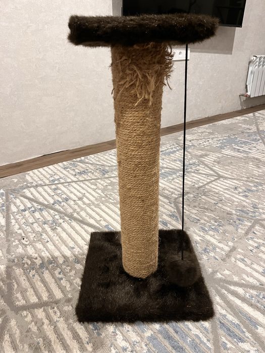 когтиточка для кота ,кошки