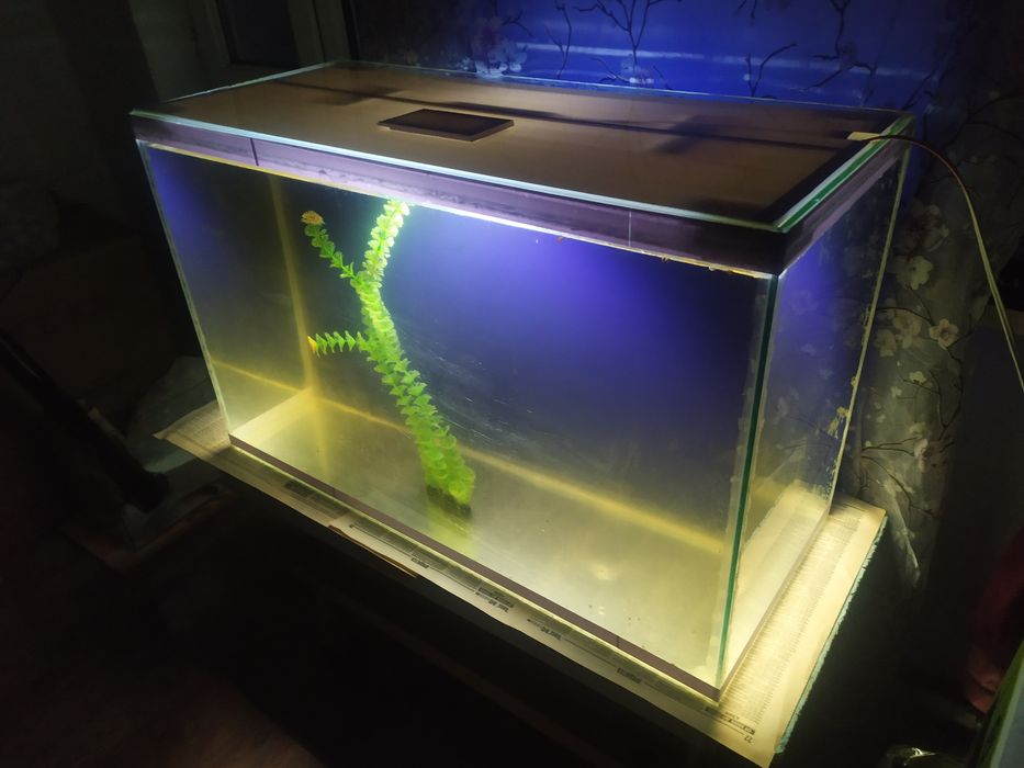 Аквариум 141л + фильтр и рыбки.