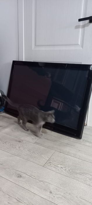 Телевизор panasonic
