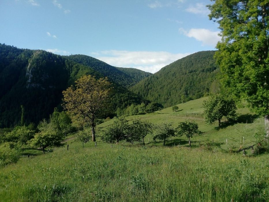 Teren de vânzare cu casă în Apuseni
