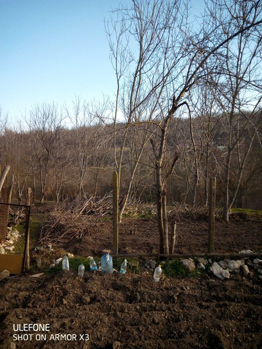 Продава се Къща в Силистра, Изток - 60 кв.м за 104 €/кв.м - Снимка #5