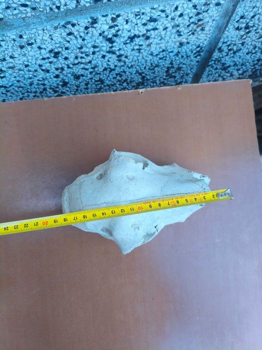 Череп, черепи за декорация