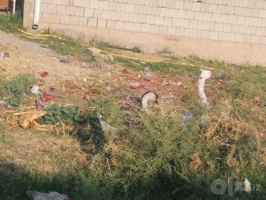 GʻOZ SOĞLOM. LINK GA YOZINGLAR 3 kunda javob bor. 15 kun garand bor.