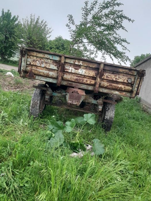 Ideal holati alo