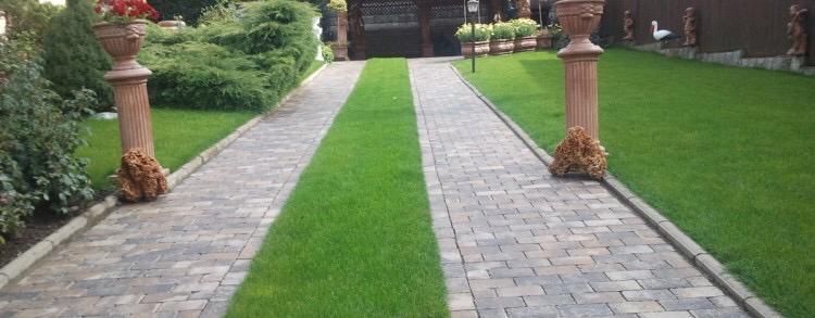 Gazon    Rulou   Direct  Producator