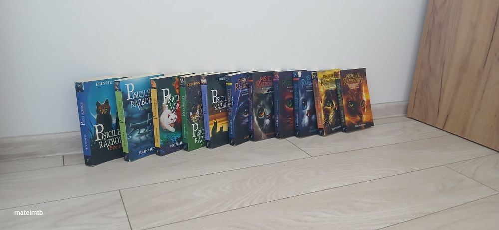 Serie de cărți ,,Pisicile Raboinice'' de Erin Hunter, volumele 2-12