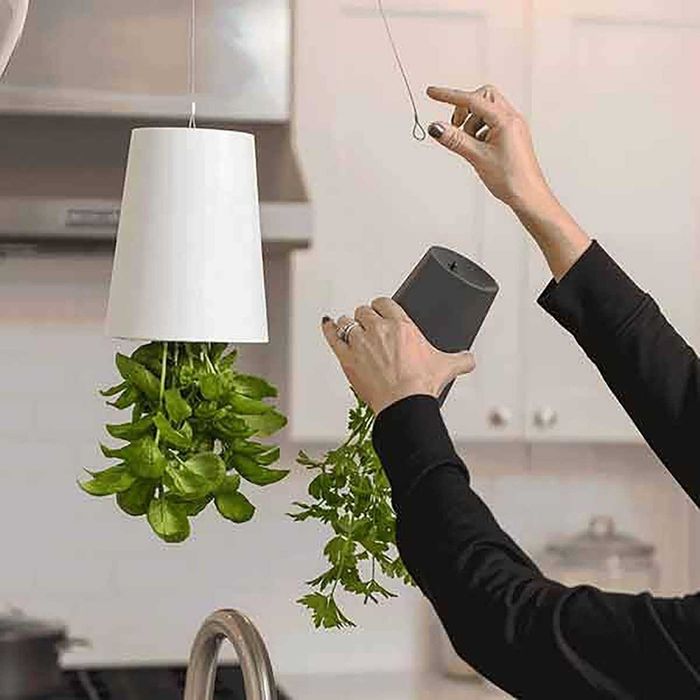 Ghiveci de flori de sus in jos. Ideal pentru cadou onomastica!