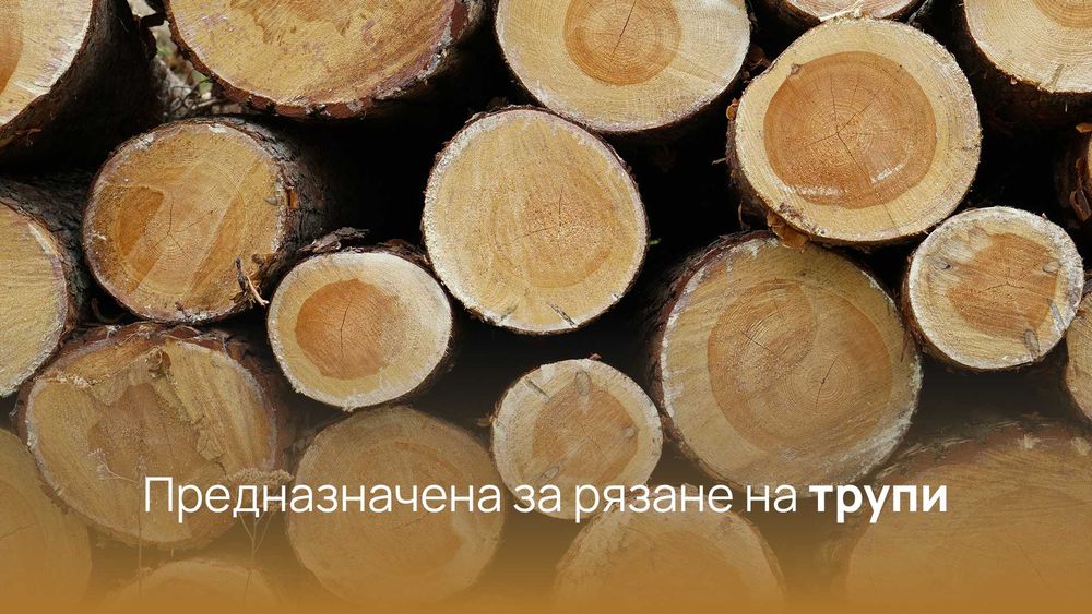 PREMIUM Лента за банциг за разкрояване на трупи 5126x40x1,14 - 3 броя