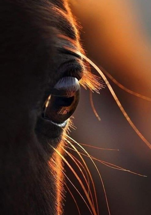 смарт часовник удъроустойпив с фенерче