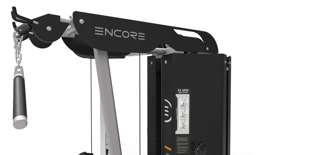 Шәуеттегі түкті киска