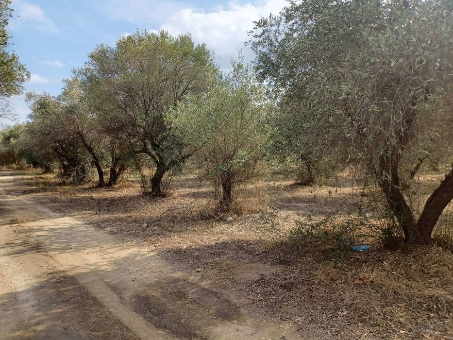 Продава парцел с площ 1380 м2 в регулация в Паралия Врасна, Гърция