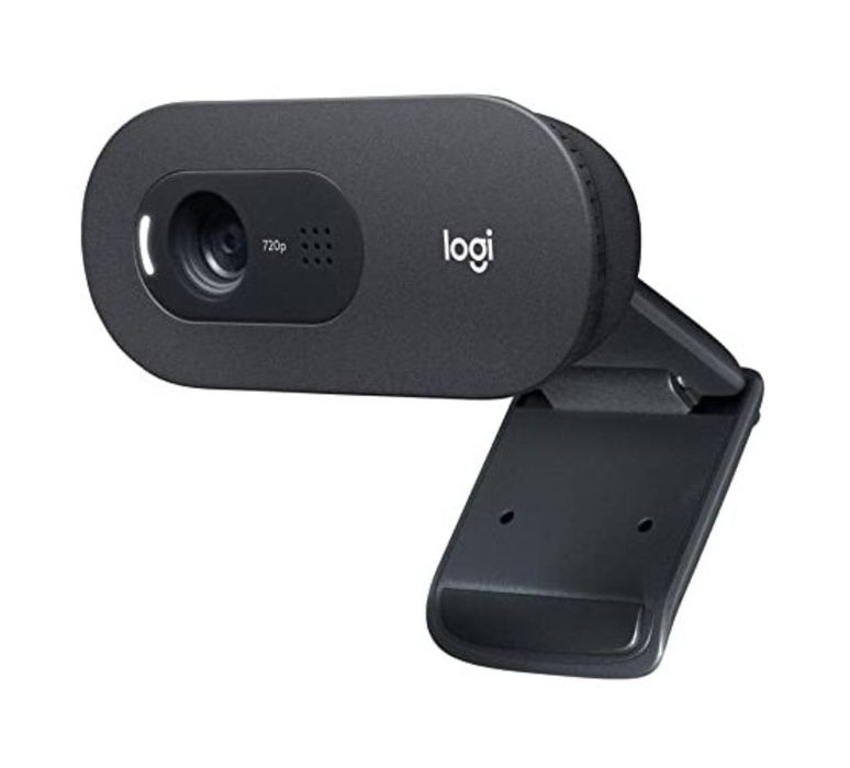 Camera web LOGITECH C505e, HD