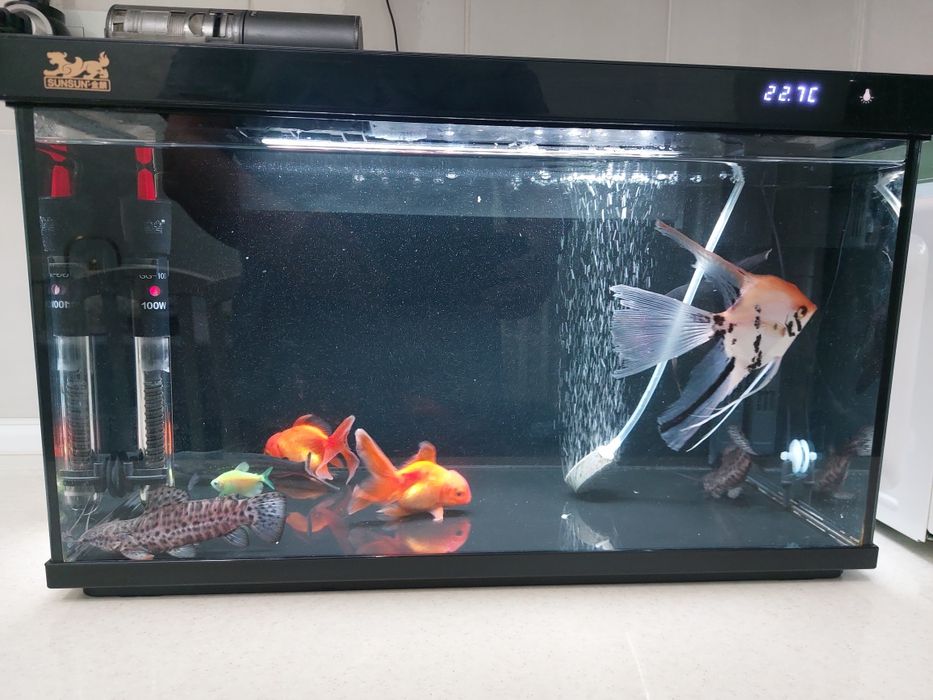 Аквариум 40 л с рыбками