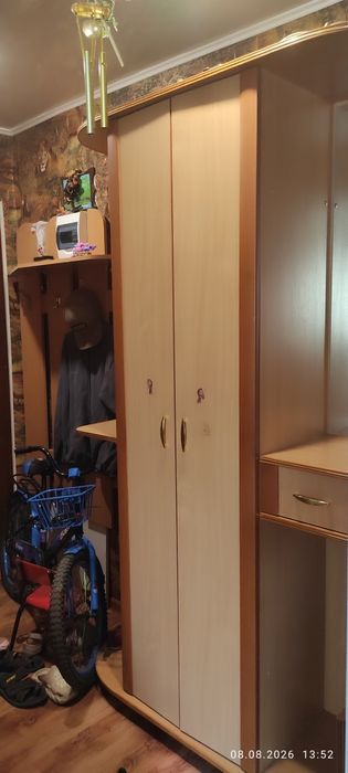 Прихожая с зеркалом, вешалкой и шкафом