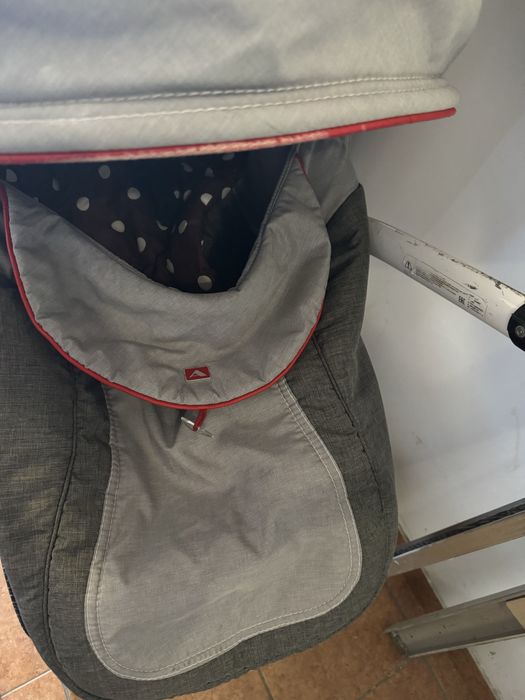 Коляска Adamex Barletta