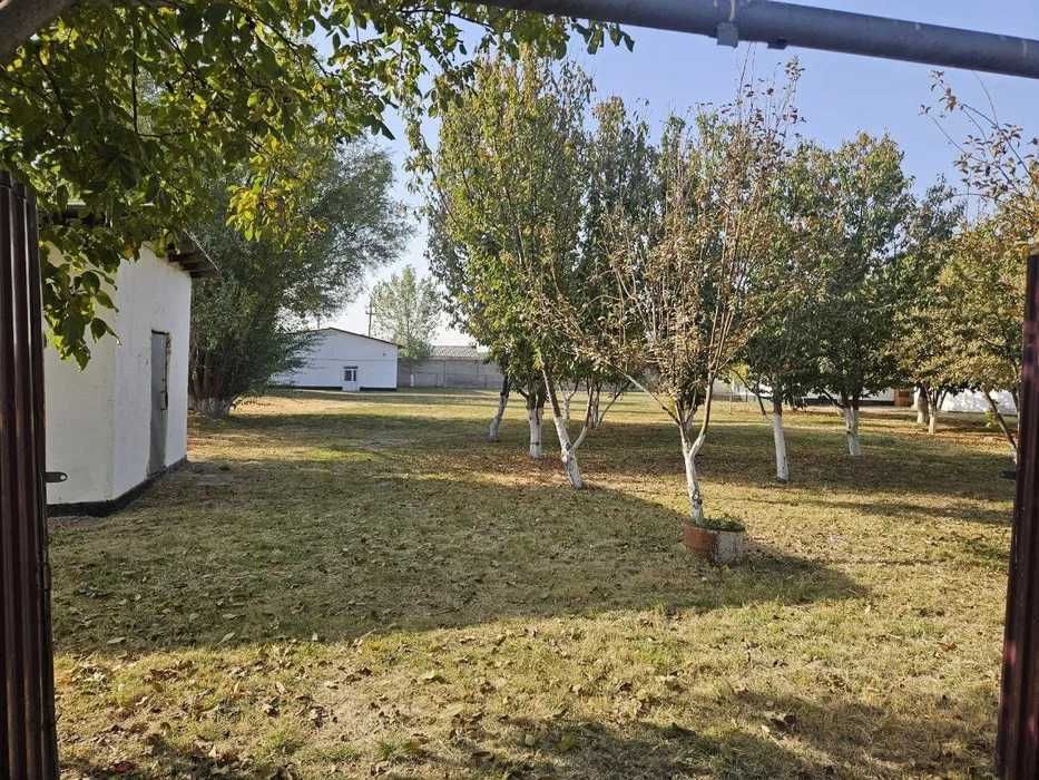 Земля, участок, дом, коттедж 50 соток