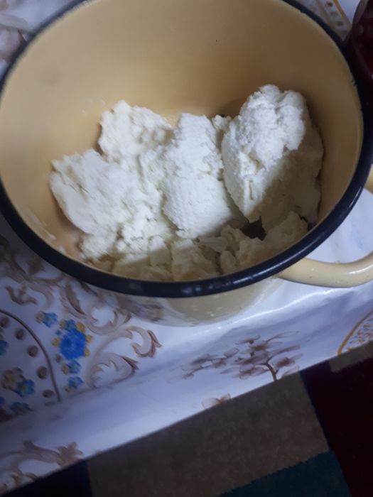 Продается козье молоко породы заненский