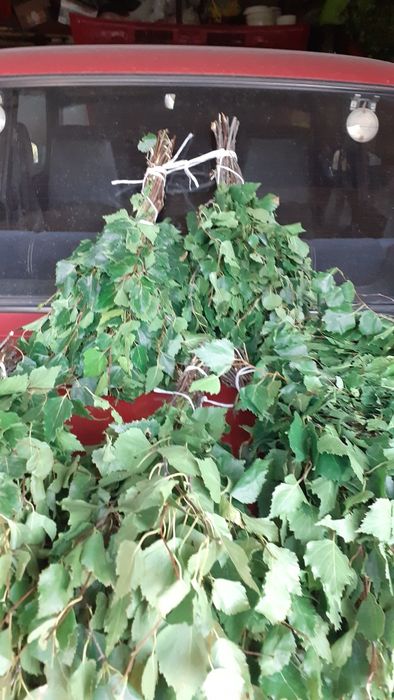 Берёзовые веники.