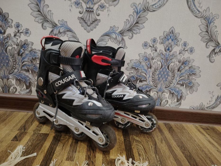 Caugar firmadan sifatli roliklar sotaman