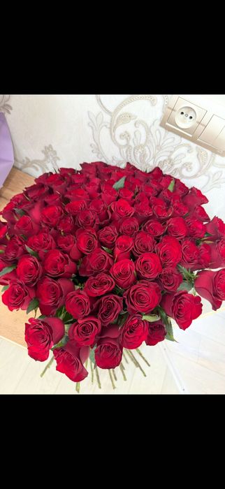 Метровые бордовые розы