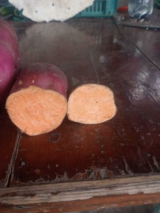 Cartofi dulci de vanzare