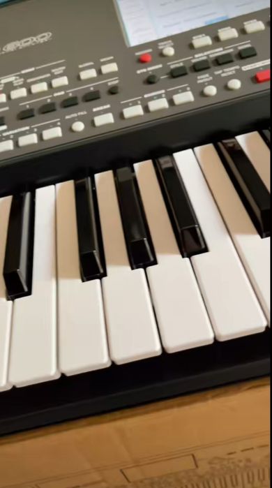 Orgă  korg pA600