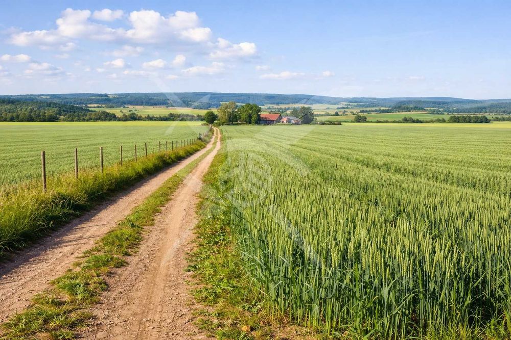 Земеделска земя в с.Марково! 99435