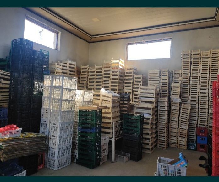 Ящик пластмассовые, деревянный